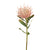 Protea Leucospermum Light Pink | Floral Interiors | Decorator | Thirty 16 Williamstown