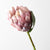 Protea Queen | Floral Interiors | Decorator | Thirty 16 Williamstown