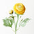 Ranunculus Spray - Yellow | Floral Interiors | Decorator | Thirty 16 Williamstown