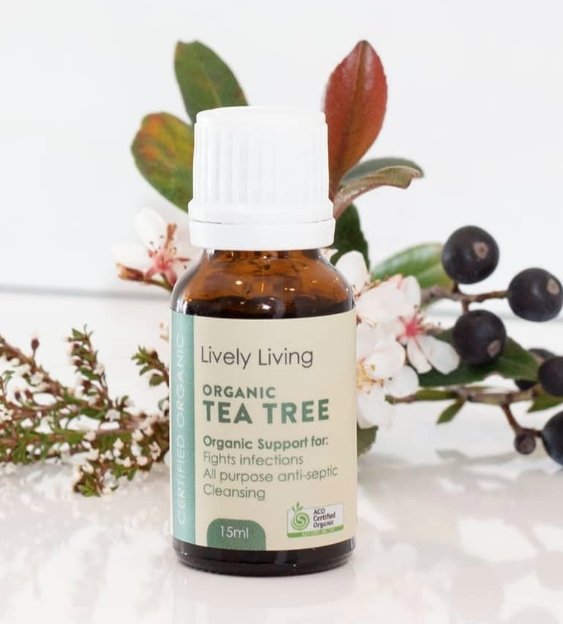 Tea Tree Organic Oil 15ml | Lively Living | Vaporisers, Diffuser &amp; Oils | Thirty 16 Williamstown